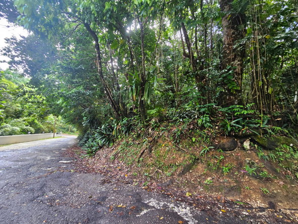 Thirteenth image of 153 San San in SAN SAN, Portland, Jamaica - property is For Sale
