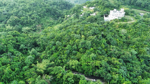 Seventh image of 153 San San in SAN SAN, Portland, Jamaica - property is For Sale