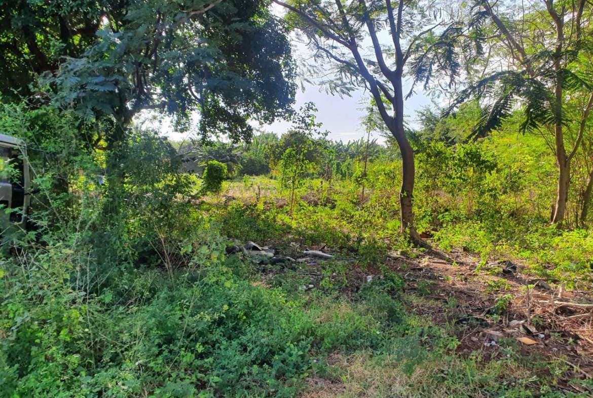 Sixth image of 35-36 Kristy Drive, Bellevue in Spanish Town, St. Catherine, Jamaica - property is For Sale