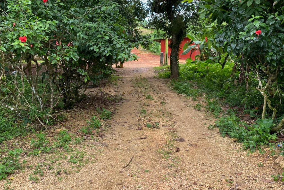 First image of Part of Watermount in Point Hill, St. Catherine, Jamaica - property is For Sale