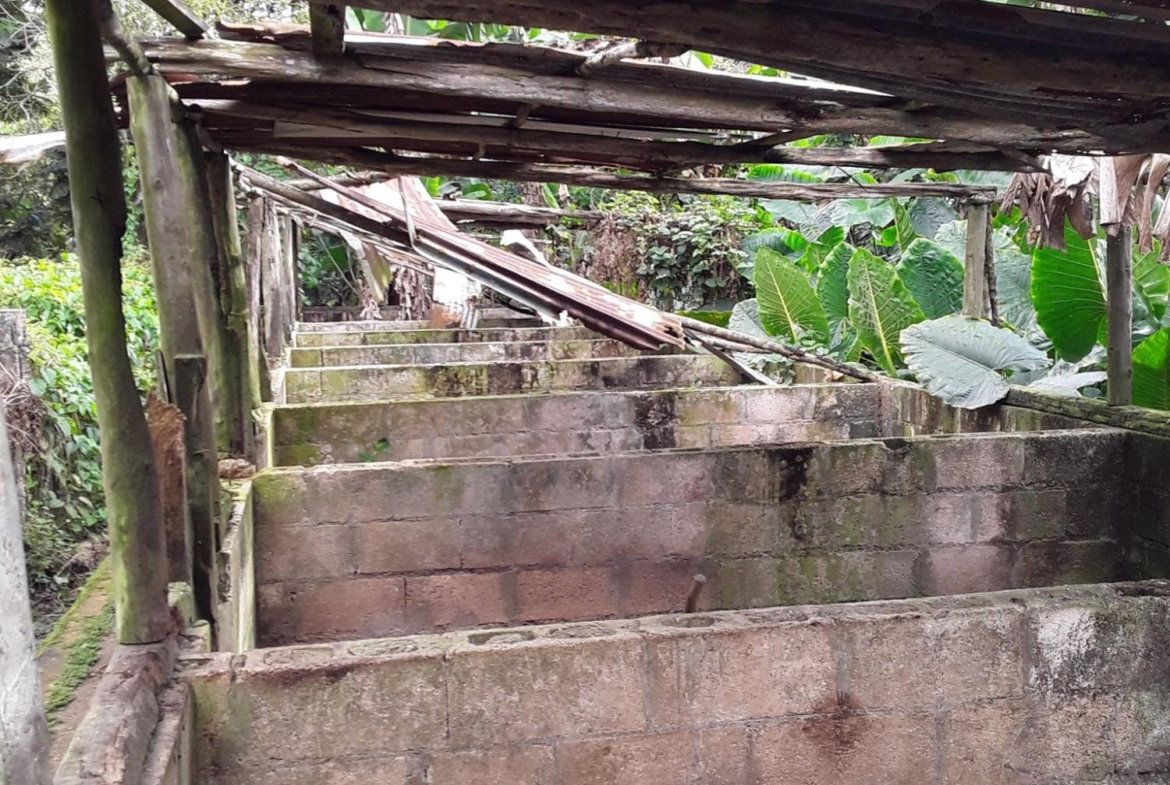 Thirteenth image of Part of Watermount in Point Hill, St. Catherine, Jamaica - property is For Sale