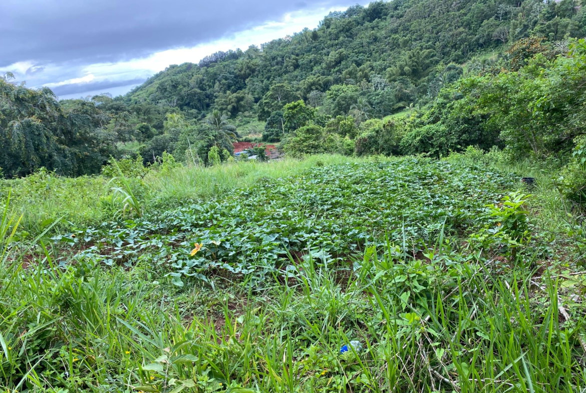 Fifteenth image of Part of Watermount in Point Hill, St. Catherine, Jamaica - property is For Sale