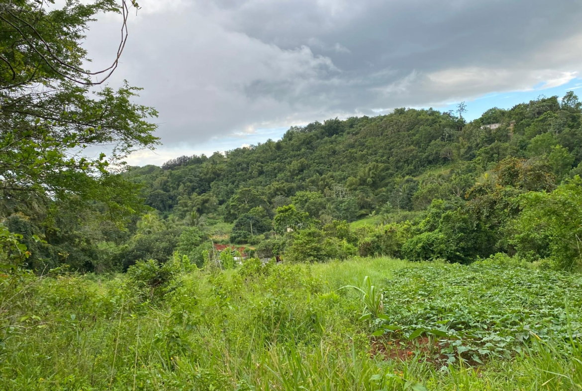 Sixteenth image of Part of Watermount in Point Hill, St. Catherine, Jamaica - property is For Sale