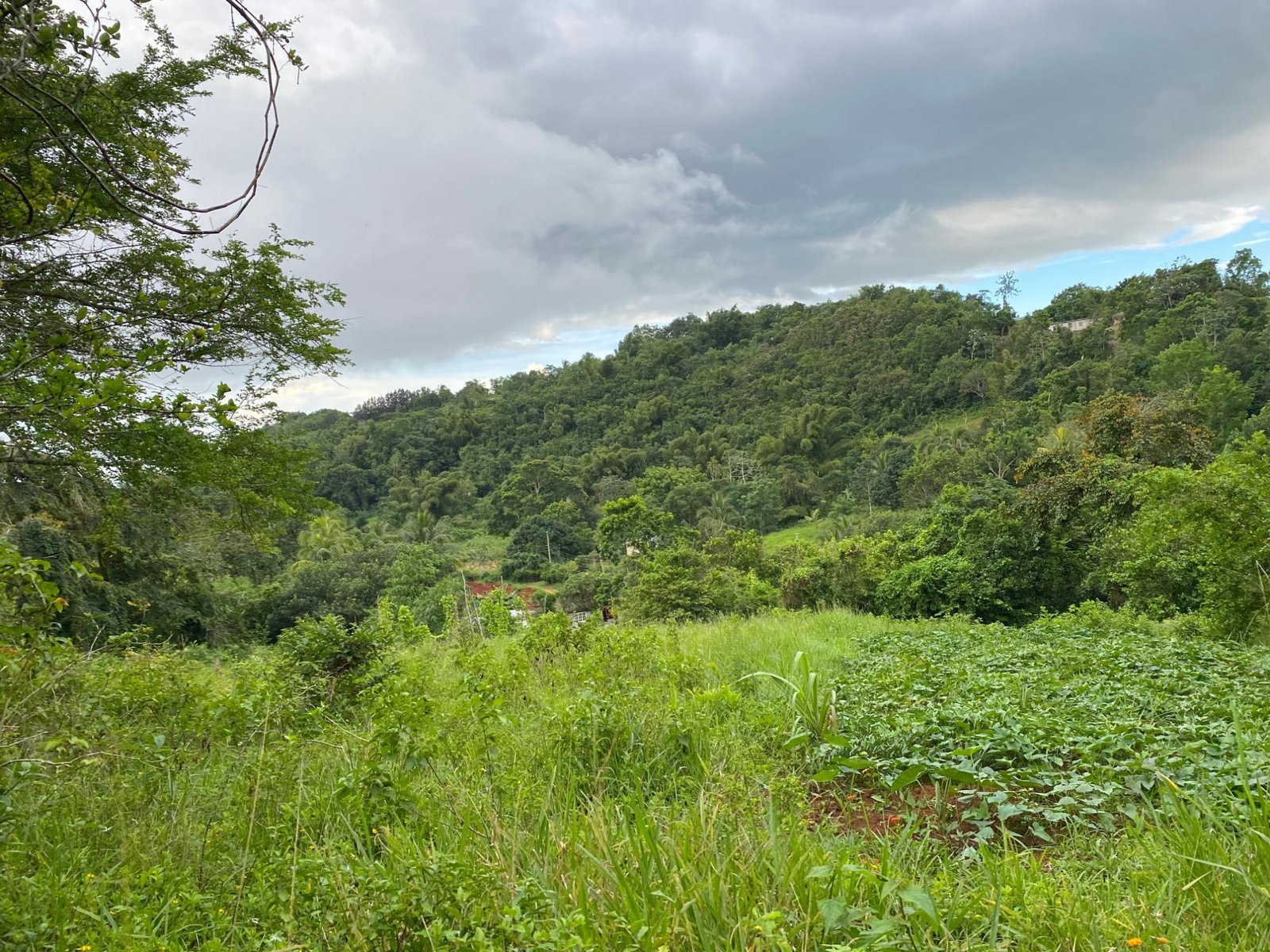 Sixteenth image of Part of Watermount in Point Hill, St. Catherine, Jamaica - property is For Sale