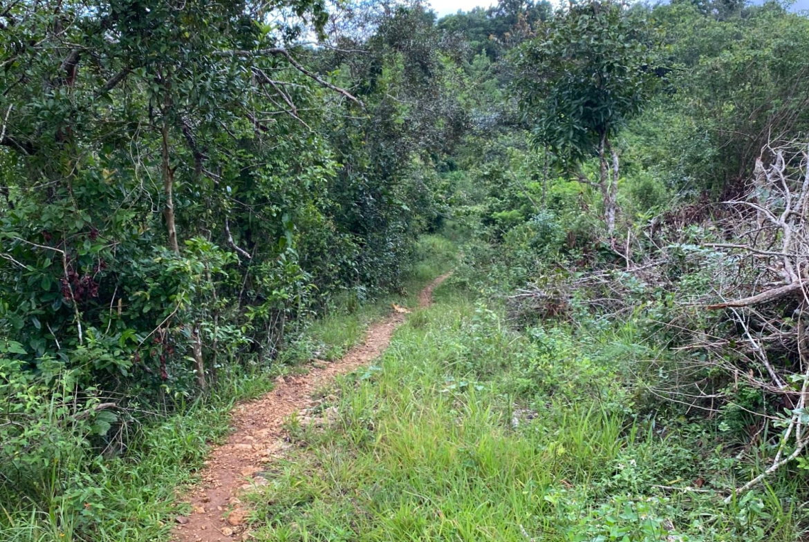 Seventeenth image of Part of Watermount in Point Hill, St. Catherine, Jamaica - property is For Sale