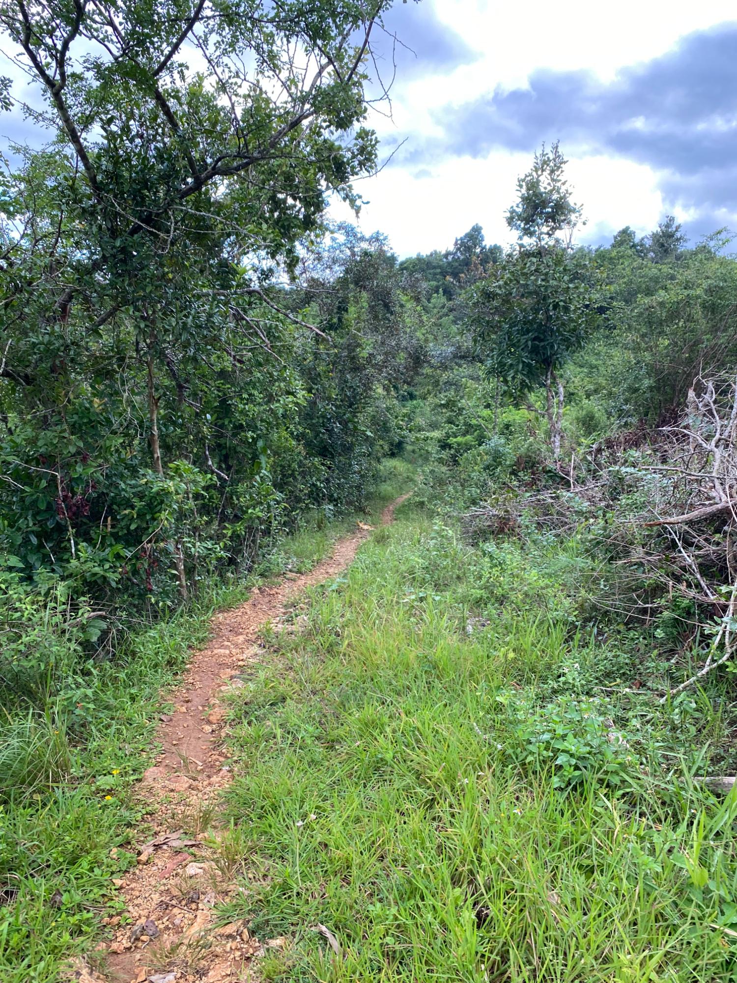 Seventeenth image of Part of Watermount in Point Hill, St. Catherine, Jamaica - property is For Sale