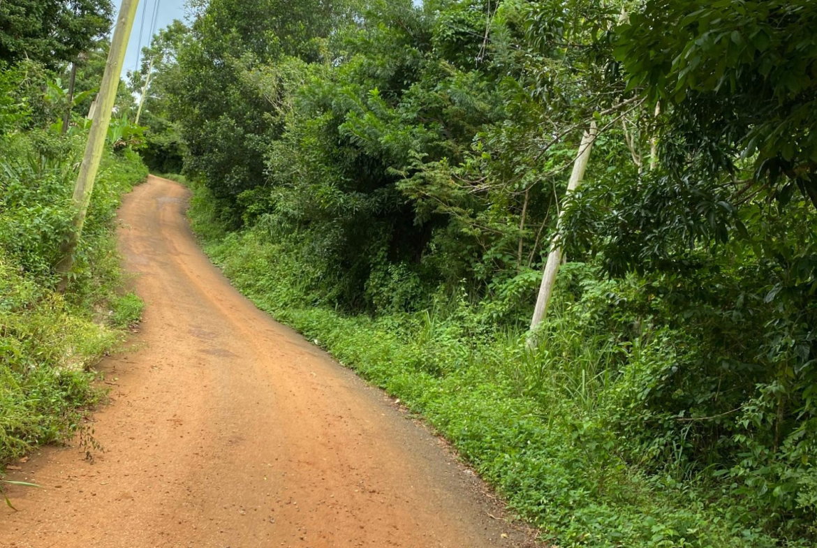 Fourth image of Part of Watermount in Point Hill, St. Catherine, Jamaica - property is For Sale