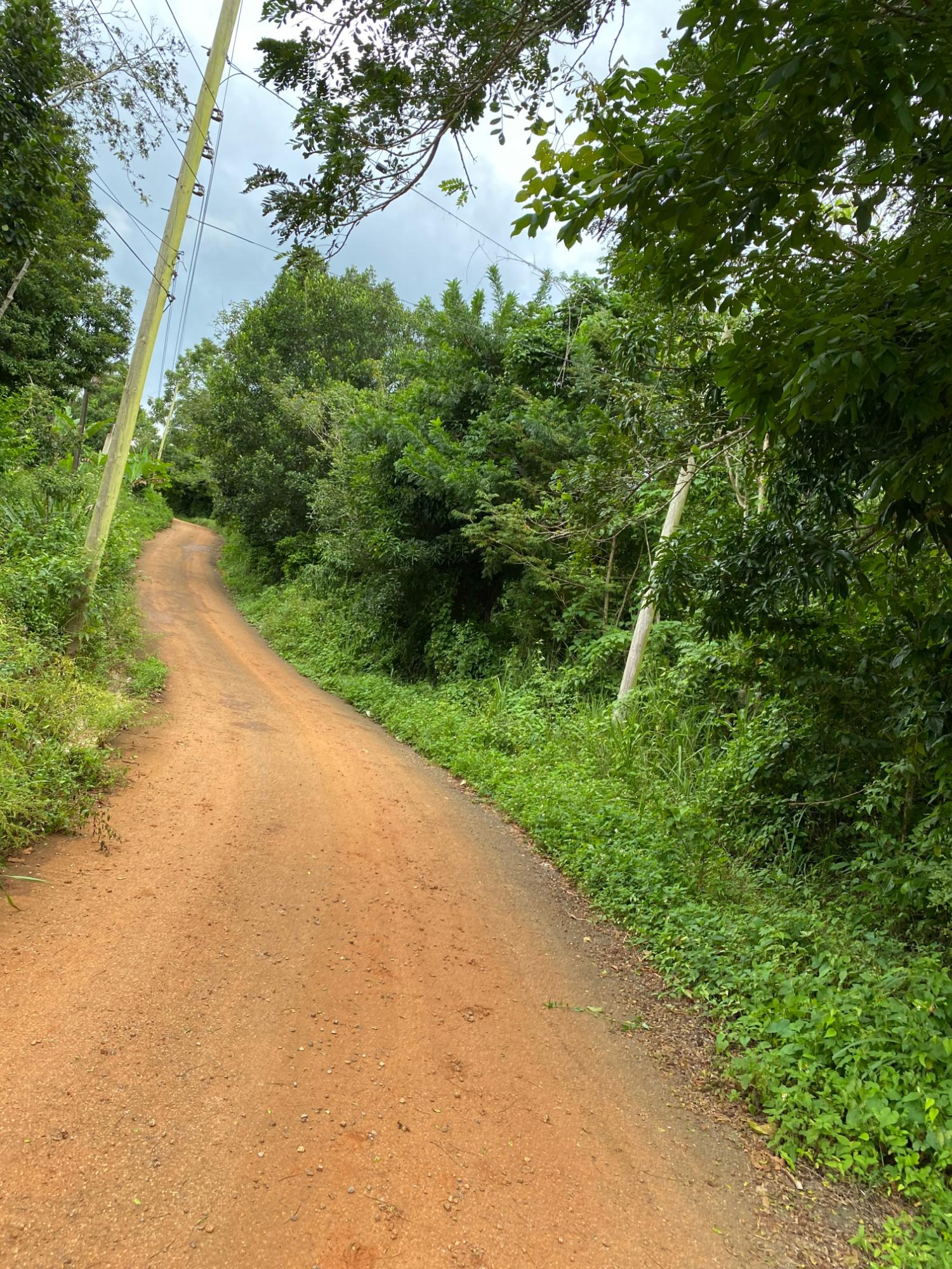 Fourth image of Part of Watermount in Point Hill, St. Catherine, Jamaica - property is For Sale