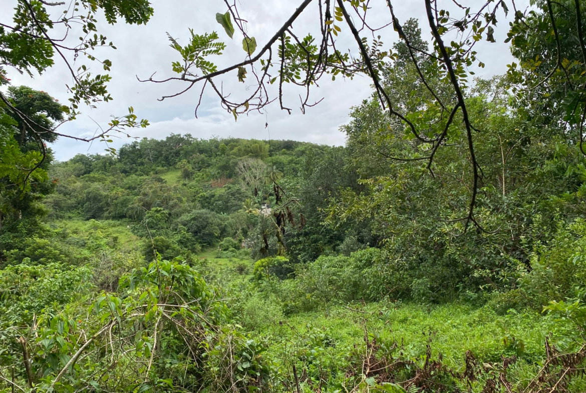 Sixth image of Part of Watermount in Point Hill, St. Catherine, Jamaica - property is For Sale