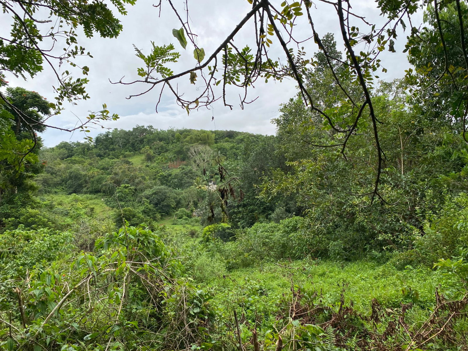 Sixth image of Part of Watermount in Point Hill, St. Catherine, Jamaica - property is For Sale