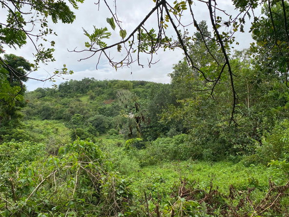 Sixth image of Part of Watermount in Point Hill, St. Catherine, Jamaica - property is For Sale