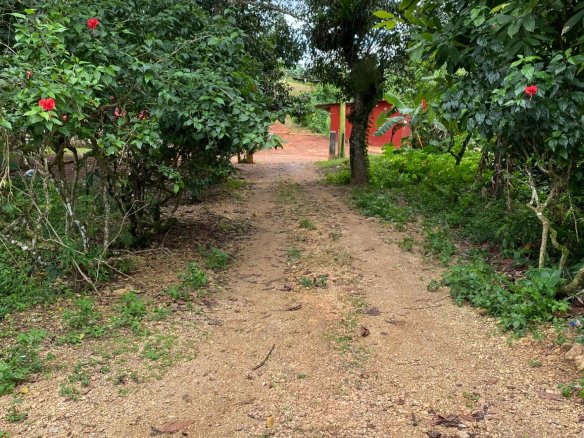 First image of Part of Watermount in Point Hill, St. Catherine, Jamaica - property is For Sale