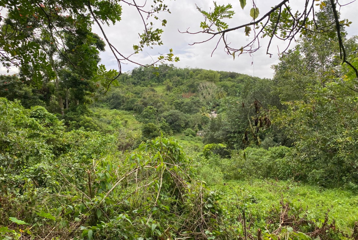 Seventh image of Part of Watermount in Point Hill, St. Catherine, Jamaica - property is For Sale