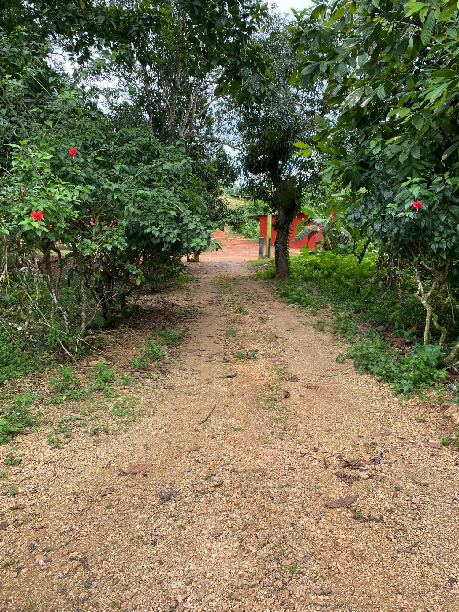 First image of Part of Watermount in Point Hill, St. Catherine, Jamaica - property is For Sale