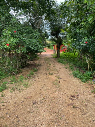First image of Part of Watermount in Point Hill, St. Catherine, Jamaica - property is For Sale