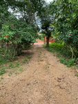 First image of Part of Watermount in Point Hill, St. Catherine, Jamaica - property is For Sale