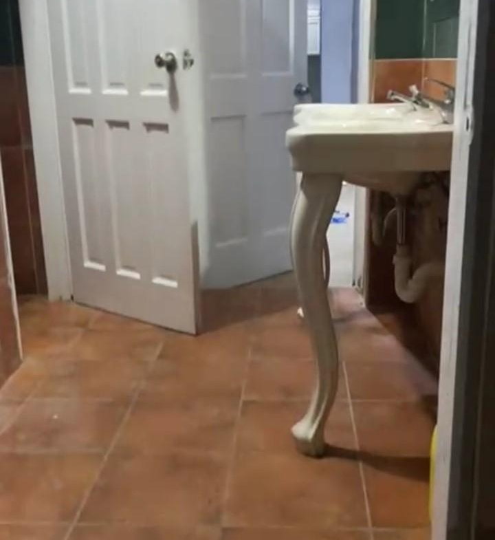 Twenty-First image of 1-197 Belvedere Road, Kingston in Belvedere, St. Andrew, Jamaica - property is For Rent