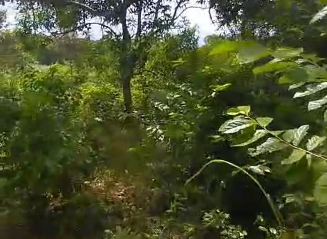 Second image of Kitson Tn, Paul Mountain in Spanish Town, St. Catherine, Jamaica - property is For Sale