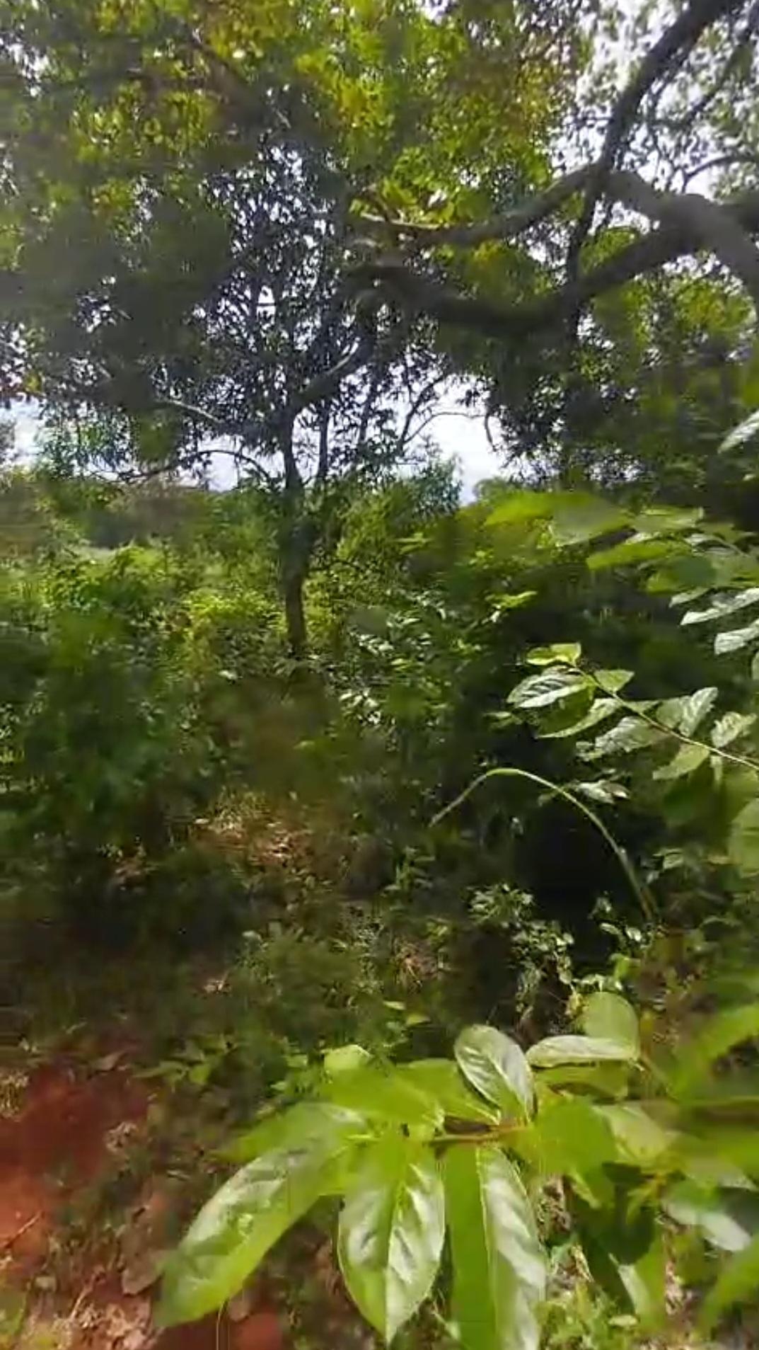 Second image of Kitson Tn, Paul Mountain in Spanish Town, St. Catherine, Jamaica - property is For Sale