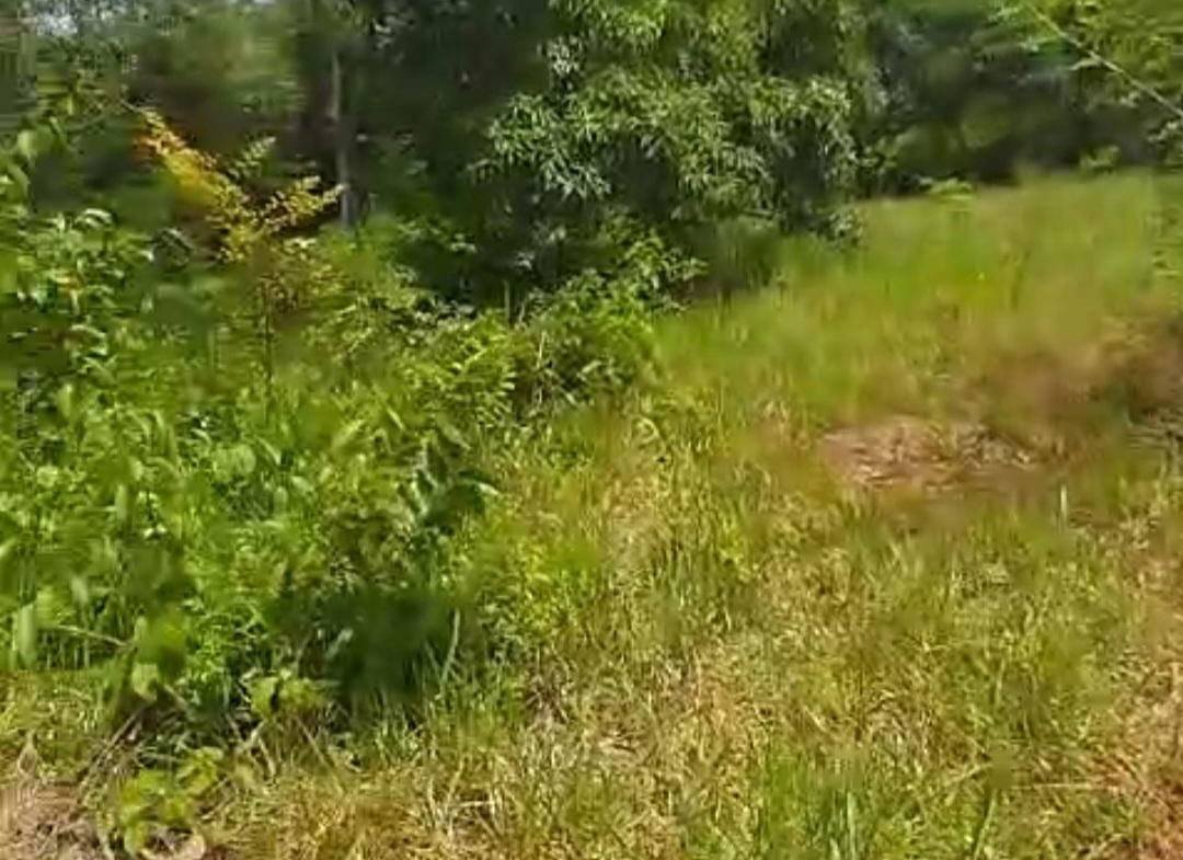 Eleventh image of Kitson Tn, Paul Mountain in Spanish Town, St. Catherine, Jamaica - property is For Sale