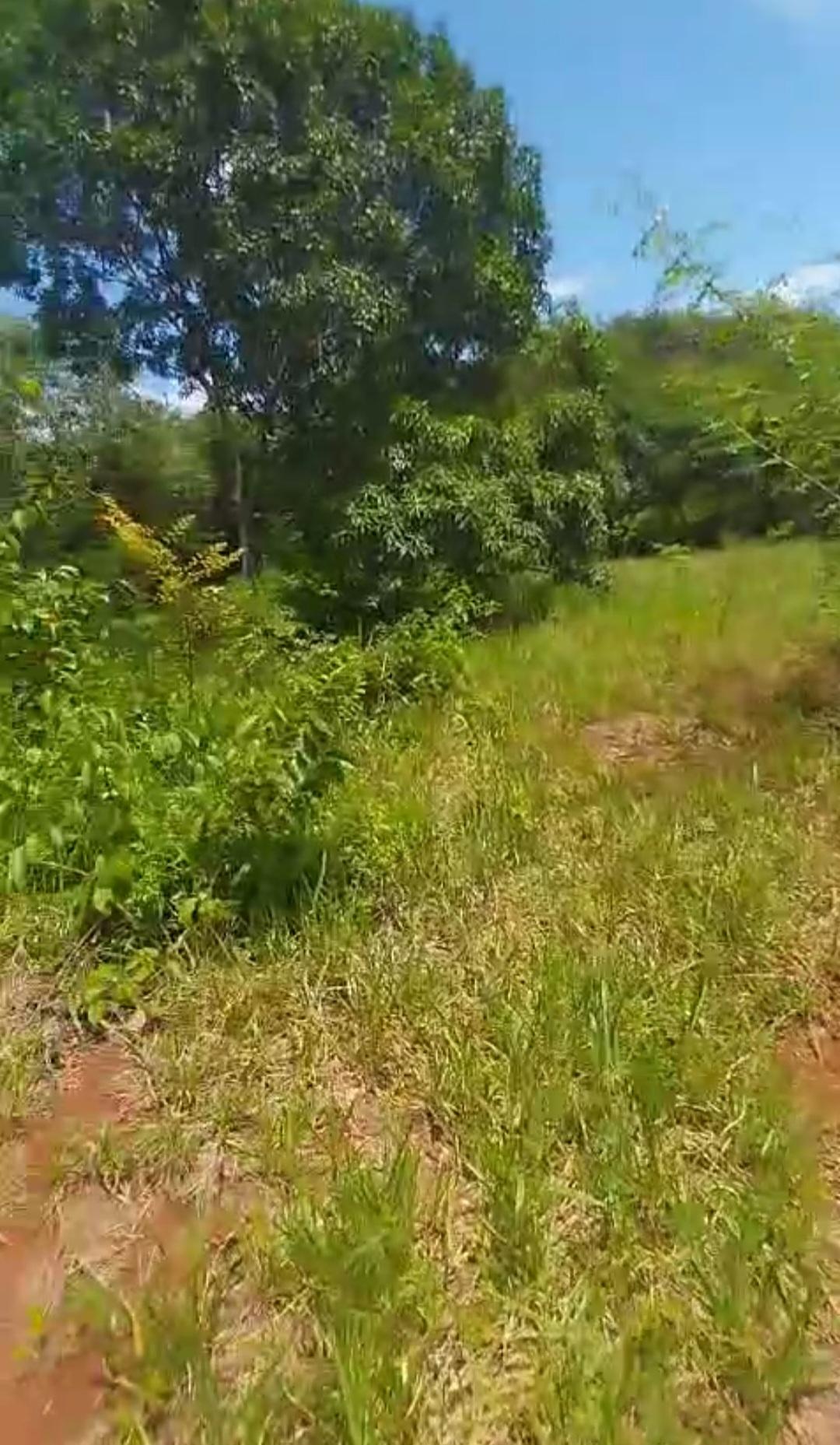 Eleventh image of Kitson Tn, Paul Mountain in Spanish Town, St. Catherine, Jamaica - property is For Sale