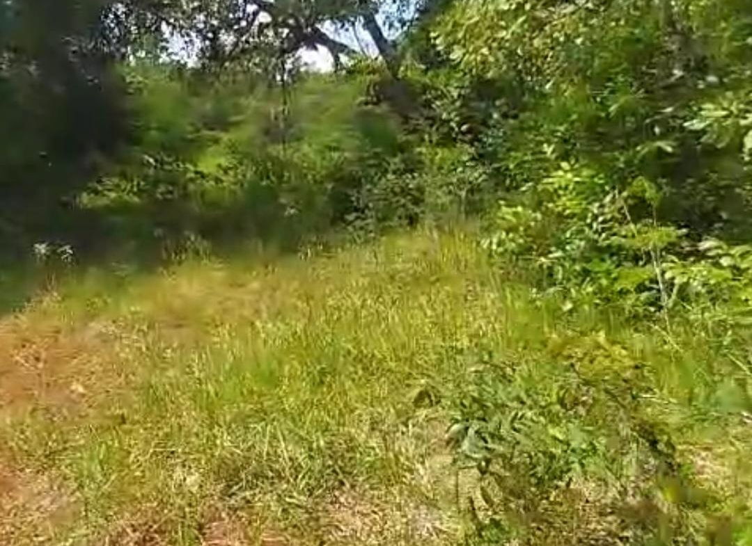 First image of Kitson Tn, Paul Mountain in Spanish Town, St. Catherine, Jamaica - property is For Sale