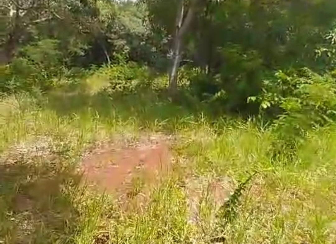 Twelfth image of Kitson Tn, Paul Mountain in Spanish Town, St. Catherine, Jamaica - property is For Sale