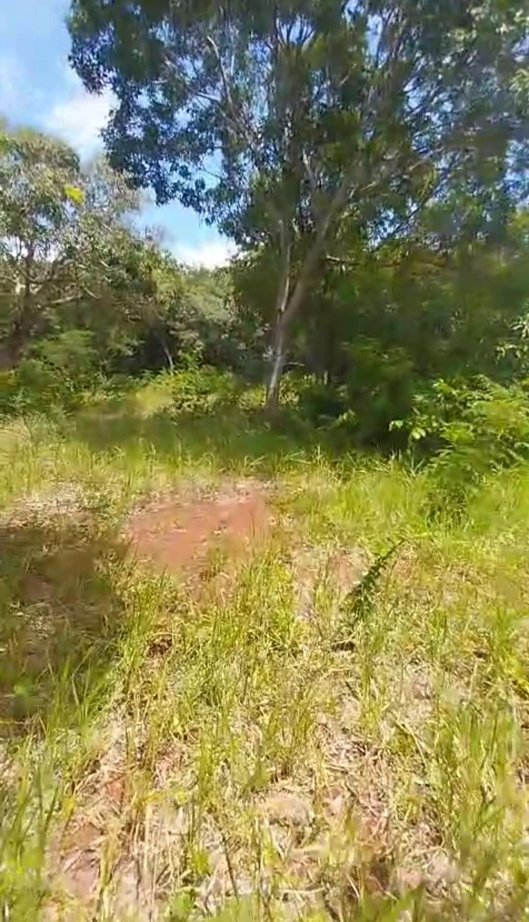 Twelfth image of Kitson Tn, Paul Mountain in Spanish Town, St. Catherine, Jamaica - property is For Sale