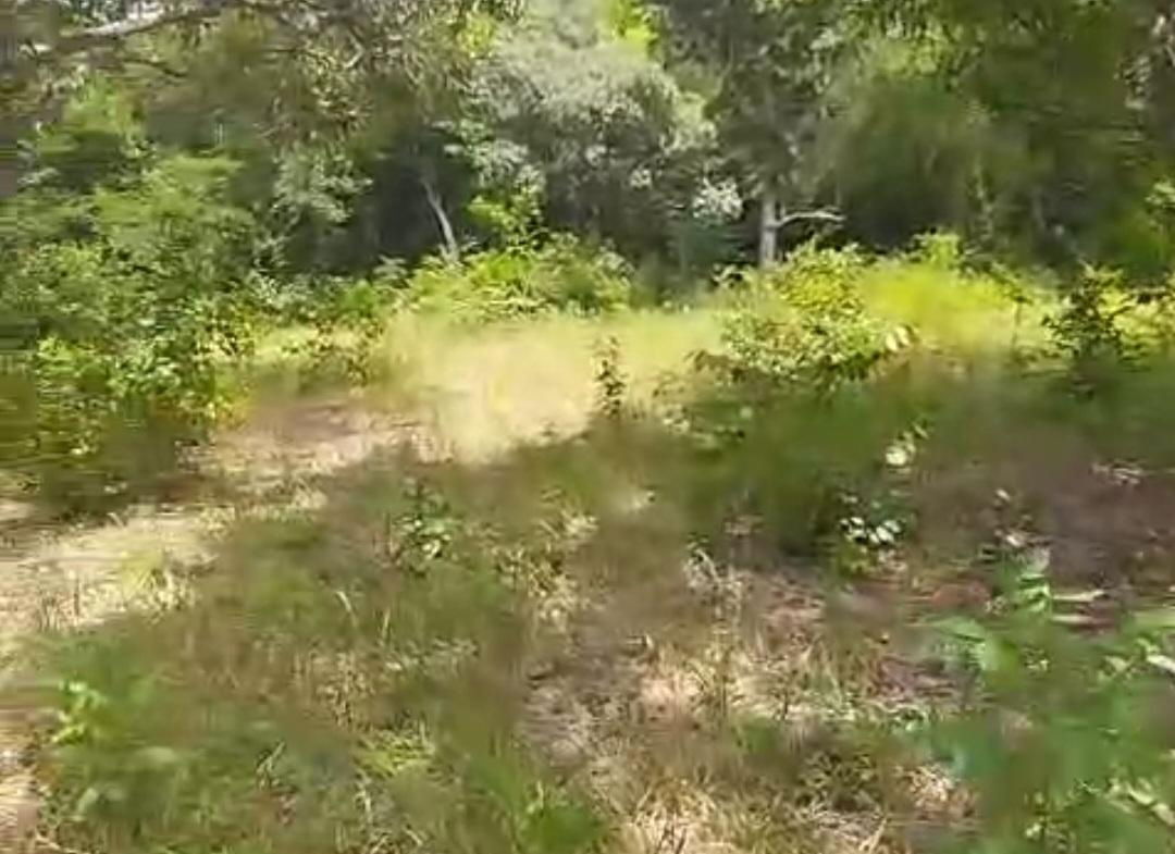 Thirteenth image of Kitson Tn, Paul Mountain in Spanish Town, St. Catherine, Jamaica - property is For Sale