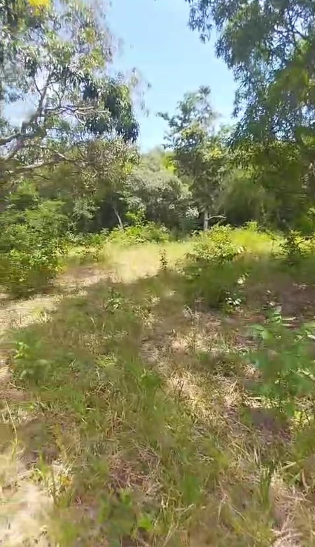 Thirteenth image of Kitson Tn, Paul Mountain in Spanish Town, St. Catherine, Jamaica - property is For Sale