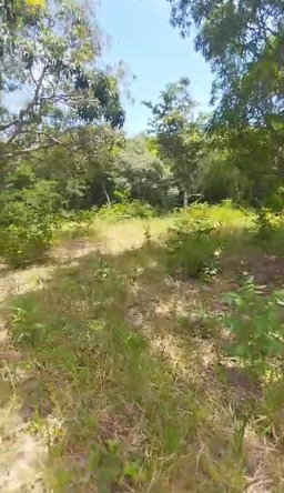 Thirteenth image of Kitson Tn, Paul Mountain in Spanish Town, St. Catherine, Jamaica - property is For Sale