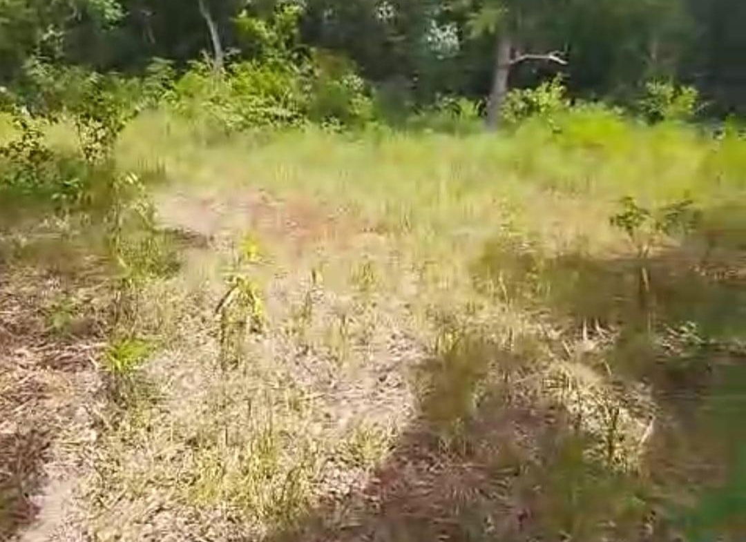 Fifteenth image of Kitson Tn, Paul Mountain in Spanish Town, St. Catherine, Jamaica - property is For Sale