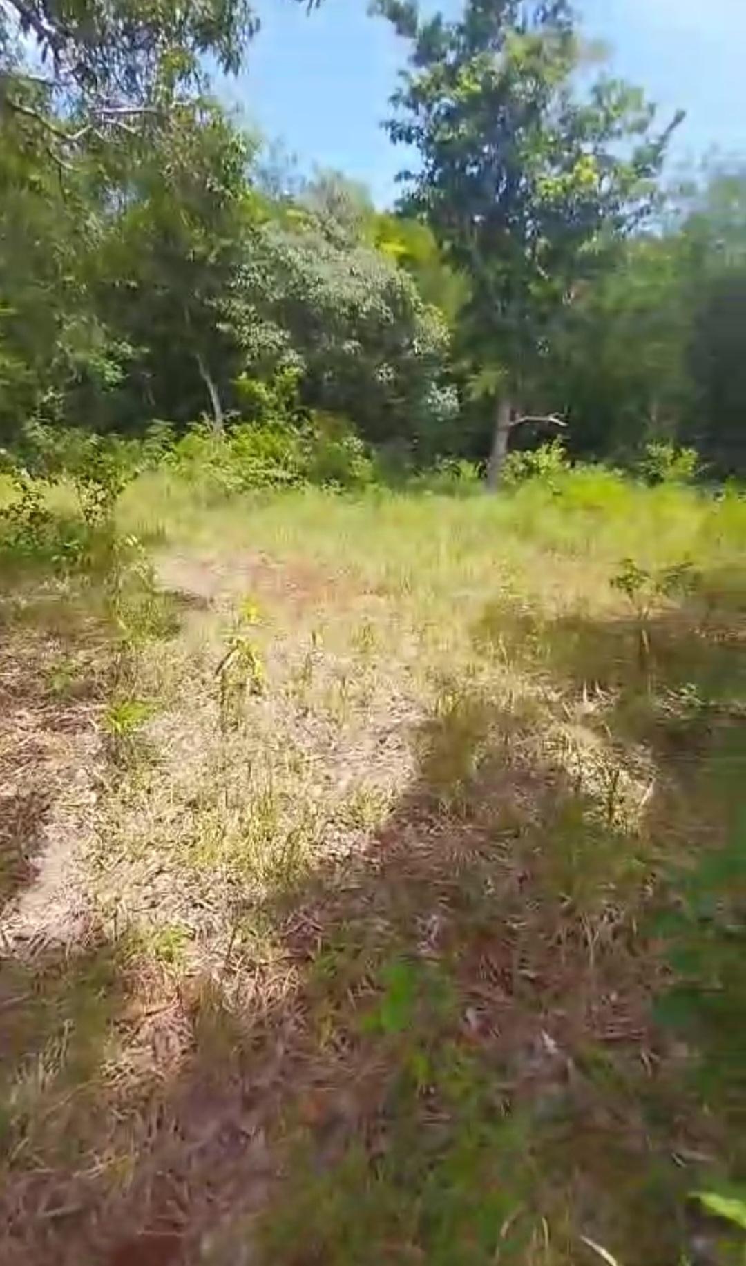 Fifteenth image of Kitson Tn, Paul Mountain in Spanish Town, St. Catherine, Jamaica - property is For Sale