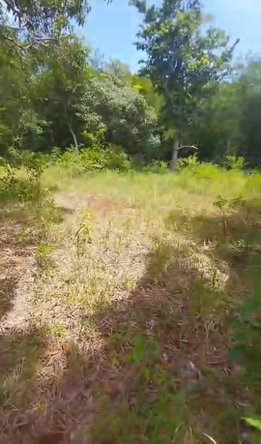 Fifteenth image of Kitson Tn, Paul Mountain in Spanish Town, St. Catherine, Jamaica - property is For Sale