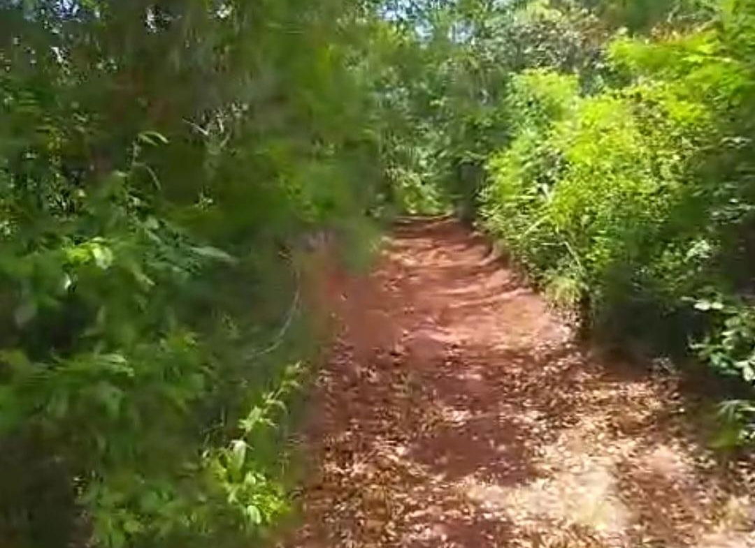 Sixteenth image of Kitson Tn, Paul Mountain in Spanish Town, St. Catherine, Jamaica - property is For Sale