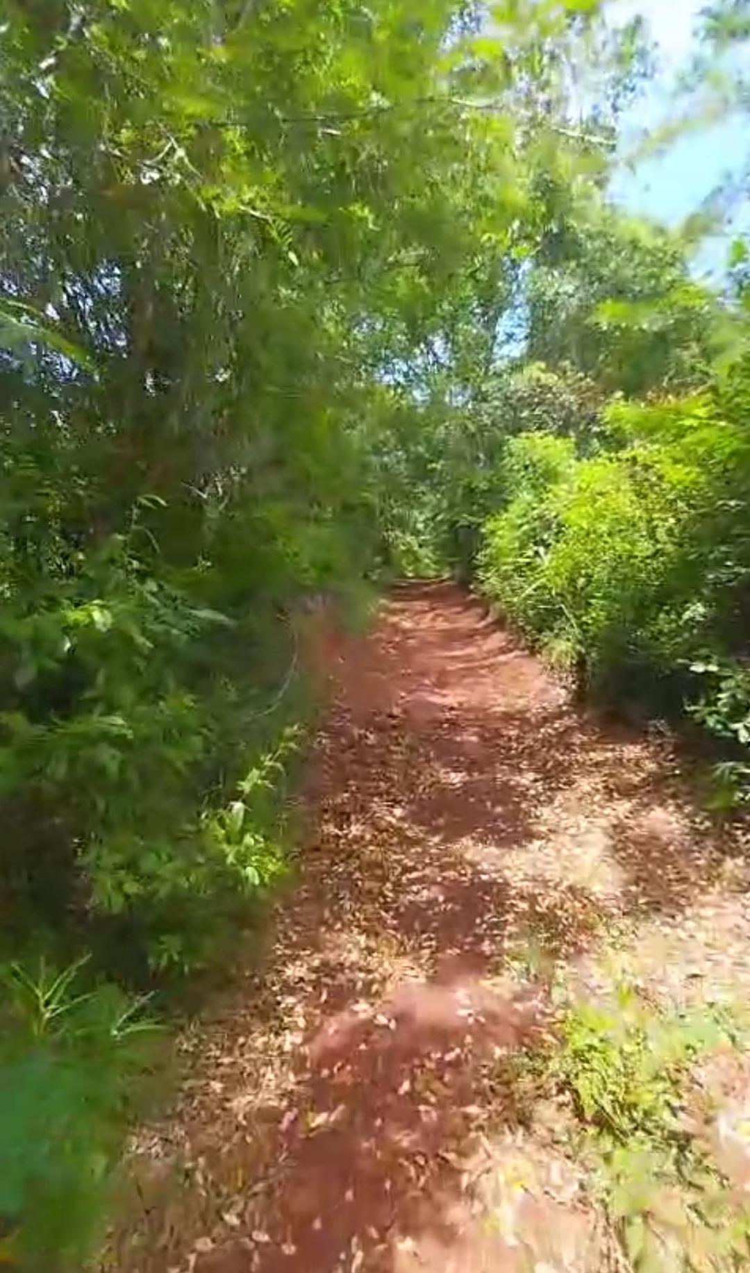 Sixteenth image of Kitson Tn, Paul Mountain in Spanish Town, St. Catherine, Jamaica - property is For Sale