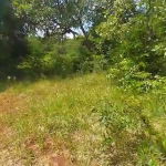 First image of Kitson Tn, Paul Mountain in Spanish Town, St. Catherine, Jamaica - property is For Sale