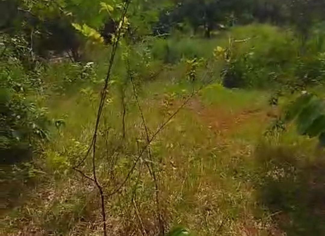 Third image of Kitson Tn, Paul Mountain in Spanish Town, St. Catherine, Jamaica - property is For Sale