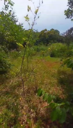Third image of Kitson Tn, Paul Mountain in Spanish Town, St. Catherine, Jamaica - property is For Sale