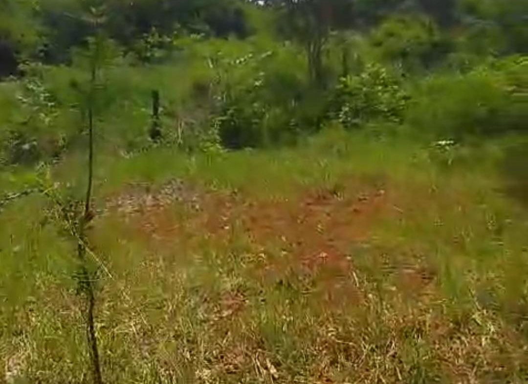 Fourth image of Kitson Tn, Paul Mountain in Spanish Town, St. Catherine, Jamaica - property is For Sale