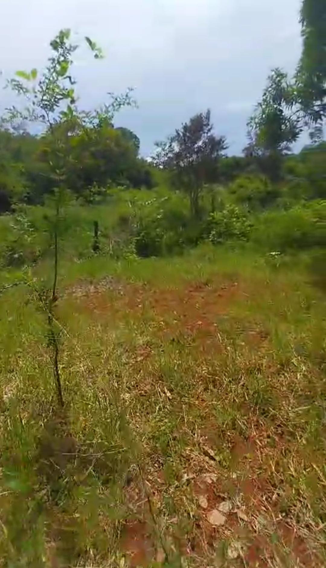 Fourth image of Kitson Tn, Paul Mountain in Spanish Town, St. Catherine, Jamaica - property is For Sale