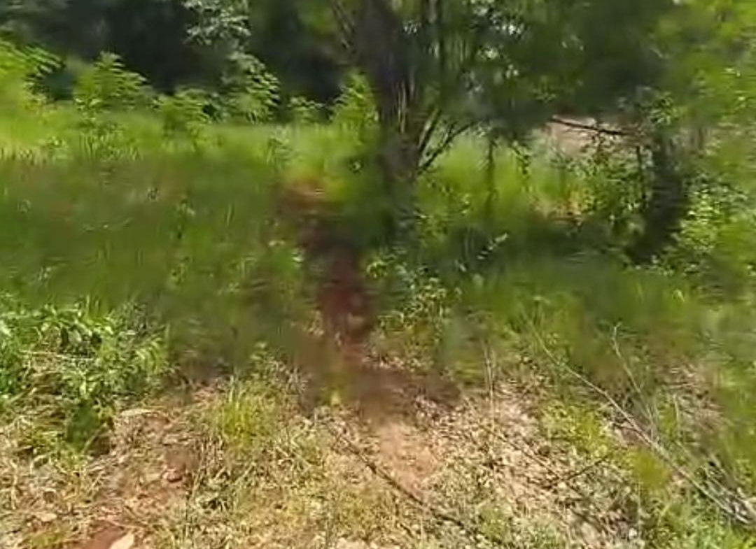 Fifth image of Kitson Tn, Paul Mountain in Spanish Town, St. Catherine, Jamaica - property is For Sale