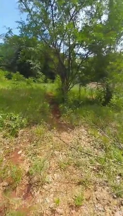 Fifth image of Kitson Tn, Paul Mountain in Spanish Town, St. Catherine, Jamaica - property is For Sale