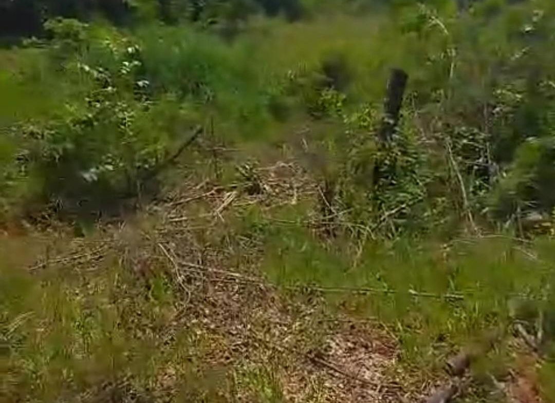 Sixth image of Kitson Tn, Paul Mountain in Spanish Town, St. Catherine, Jamaica - property is For Sale