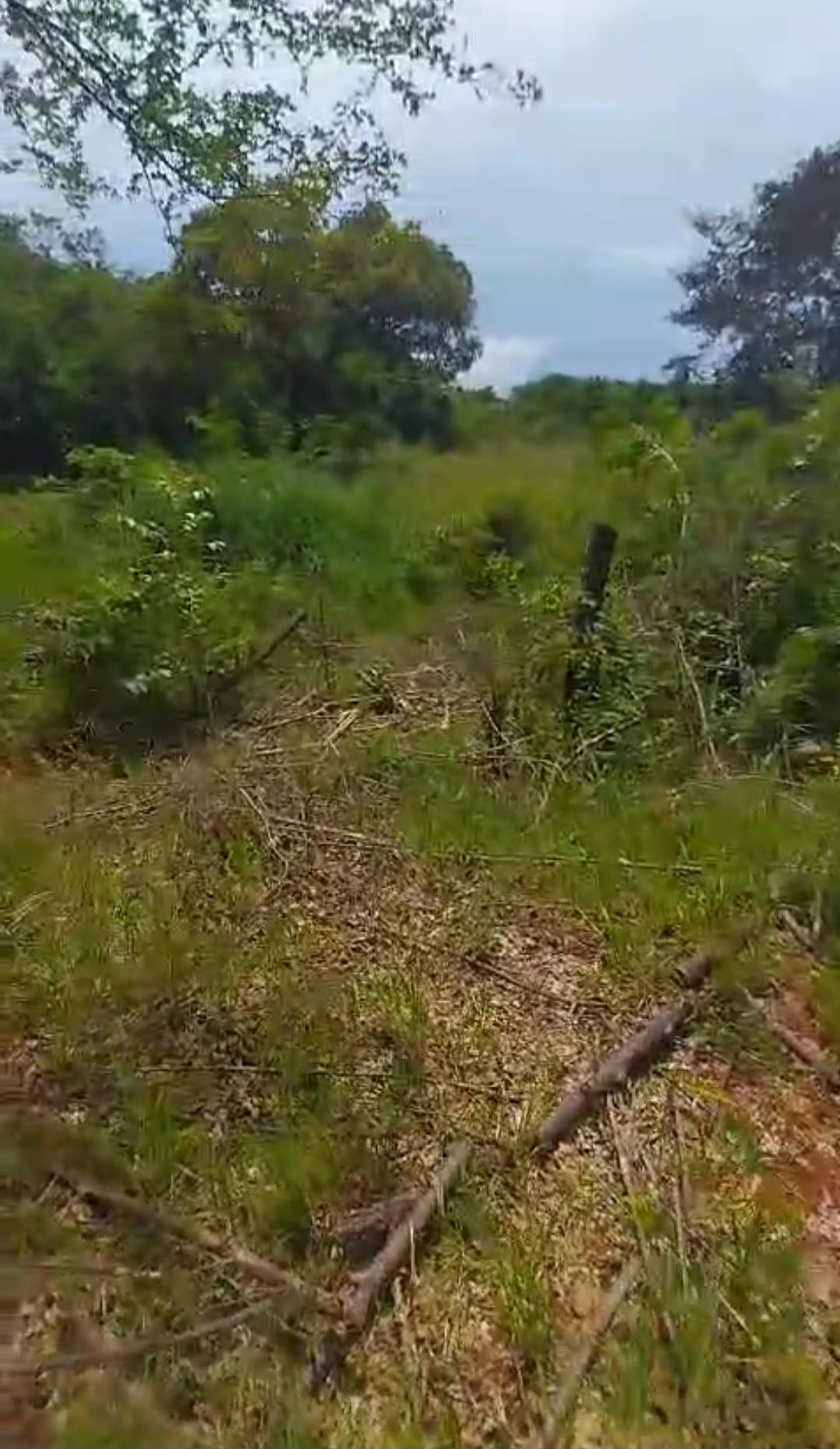 Sixth image of Kitson Tn, Paul Mountain in Spanish Town, St. Catherine, Jamaica - property is For Sale