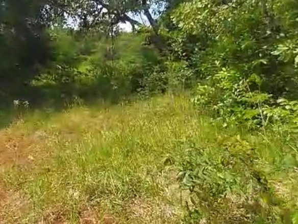 First image of Kitson Tn, Paul Mountain in Spanish Town, St. Catherine, Jamaica - property is For Sale