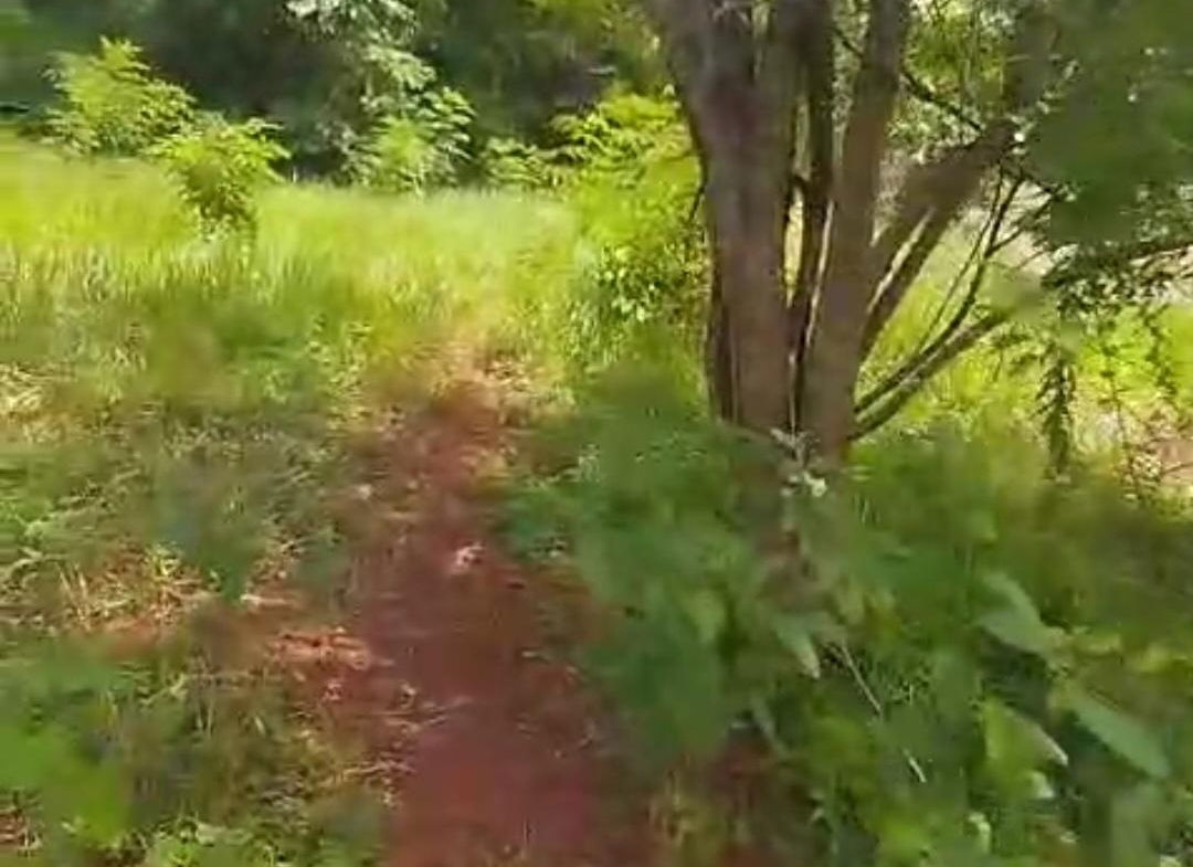 Seventh image of Kitson Tn, Paul Mountain in Spanish Town, St. Catherine, Jamaica - property is For Sale