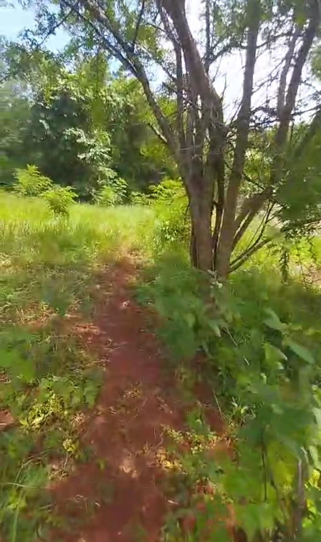 Seventh image of Kitson Tn, Paul Mountain in Spanish Town, St. Catherine, Jamaica - property is For Sale