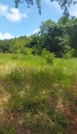 Eighth image of Kitson Tn, Paul Mountain in Spanish Town, St. Catherine, Jamaica - property is For Sale