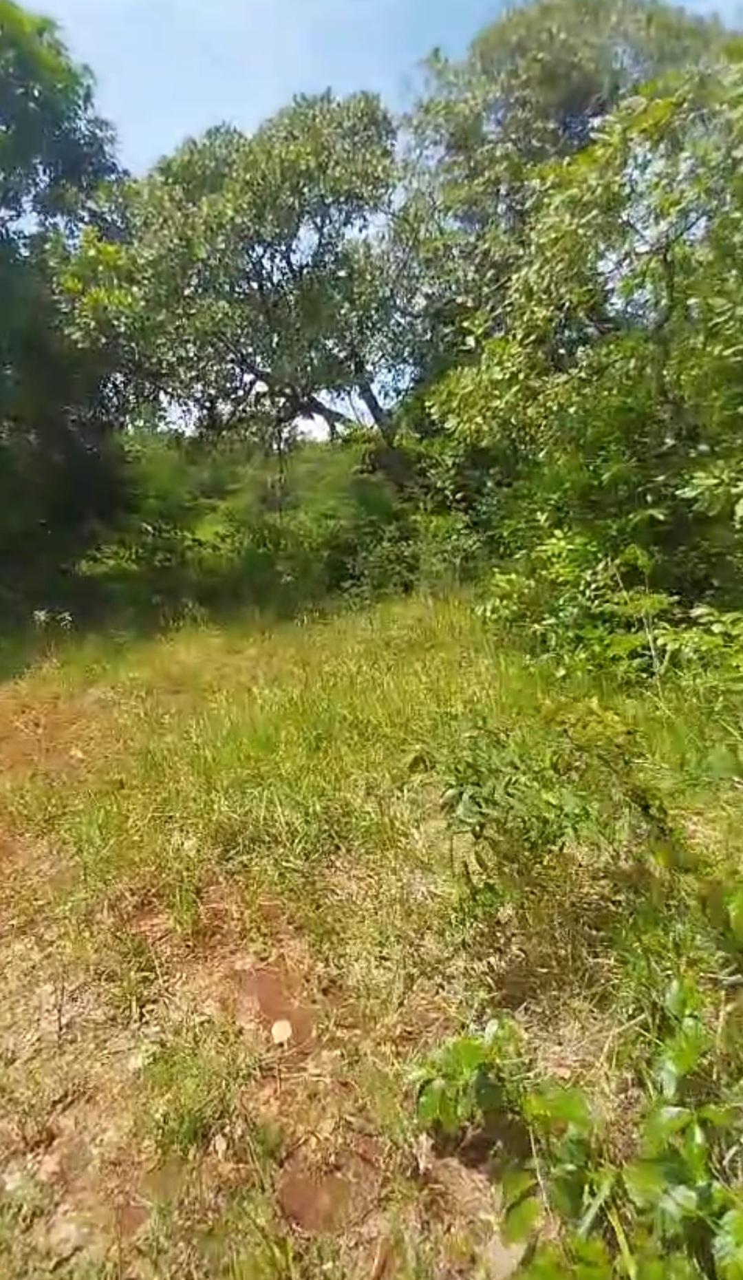 Ninth image of Kitson Tn, Paul Mountain in Spanish Town, St. Catherine, Jamaica - property is For Sale